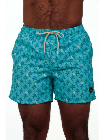 The Time of Bocha Zwemshort turquoise