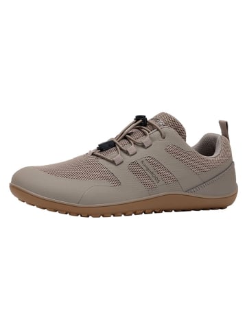 Kangaroos Buty barefoot "K-BFM Dune" w kolorze beżowym