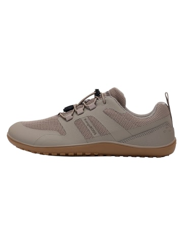 Kangaroos Buty barefoot "K-BFM Dune" w kolorze beżowym