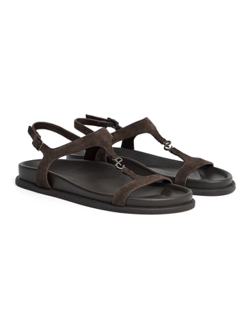 Polo Club Sandalen in Braun