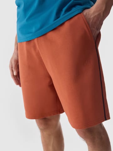 4F Sweatshorts in Rostrot