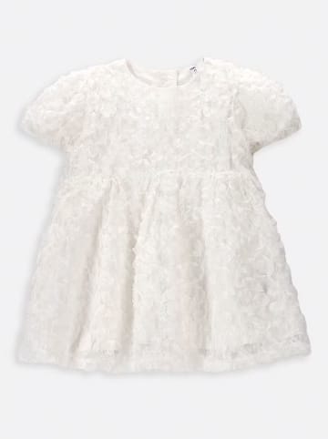 Coccodrillo Kleid in Creme