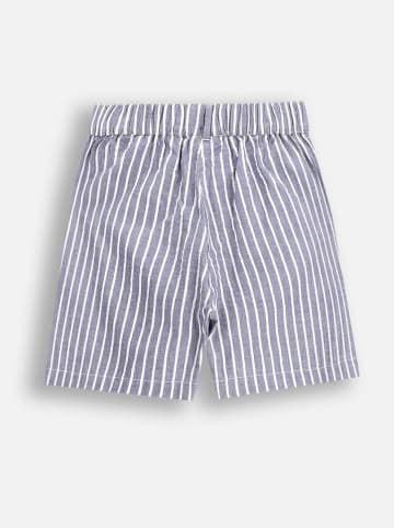 Coccodrillo Shorts in Blau/ Weiß
