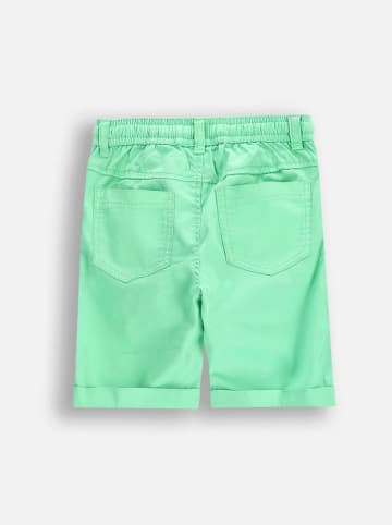 Coccodrillo Shorts in Grün