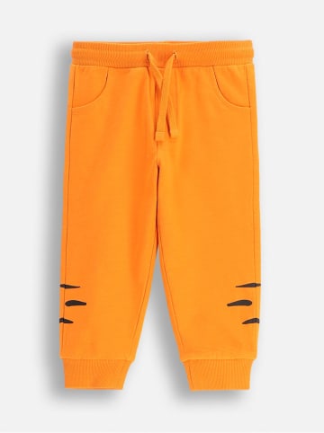 Coccodrillo Sweathose in Orange