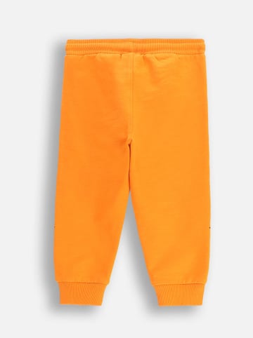 Coccodrillo Sweathose in Orange