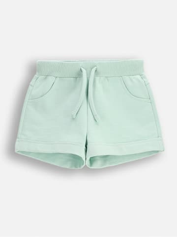 Coccodrillo Sweatshorts in Mint