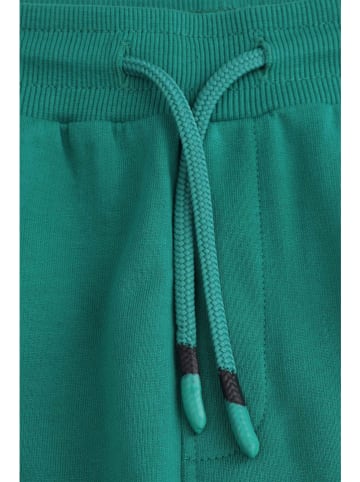 Coccodrillo Sweatshorts in Grün