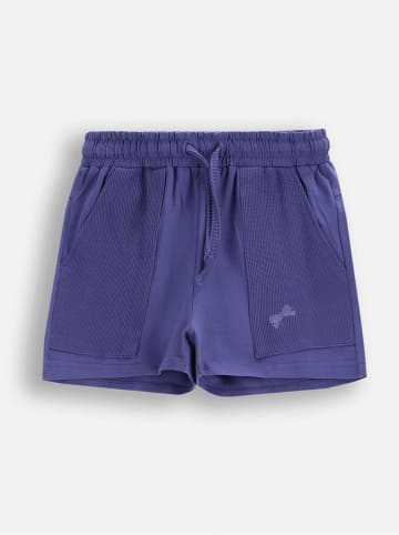 Coccodrillo Sweatshorts in Dunkelblau