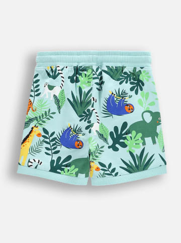 Coccodrillo Sweatshorts in Türkis