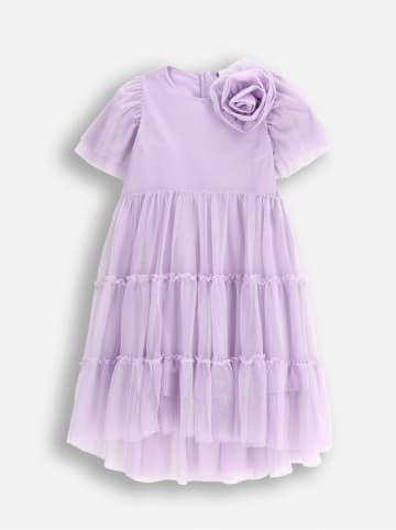 Coccodrillo Kleid in Lila