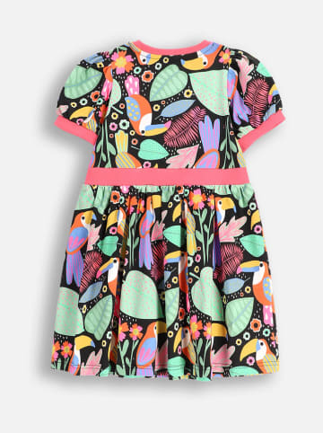 Coccodrillo Kleid in Bunt