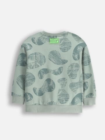 Coccodrillo Sweatshirt in Grün