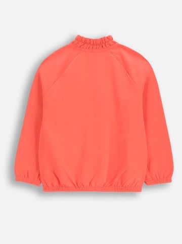 Coccodrillo Blouson in Koralle