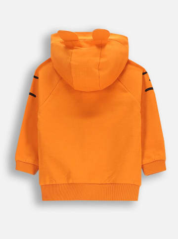 Coccodrillo Sweatjacke in Orange