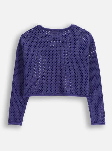 Coccodrillo Sweter w kolorze granatowym