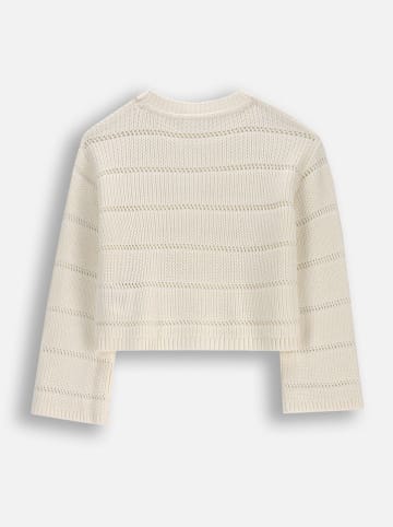 Coccodrillo Pullover in Creme
