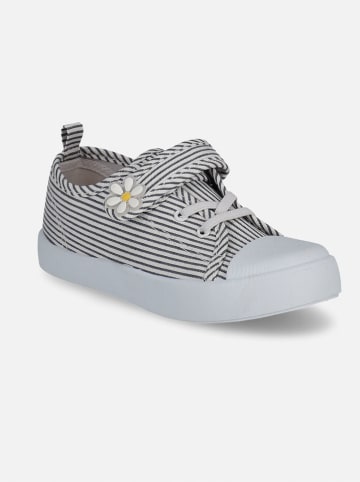 Coccodrillo Sneakers in Creme