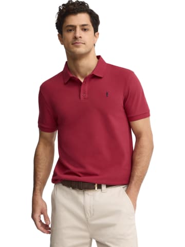 Polo Club Poloshirt in Beere