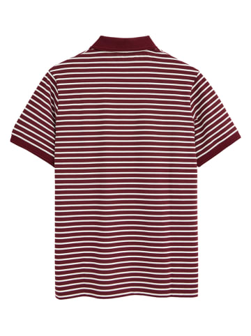 Polo Club Poloshirt bordeaux/wit