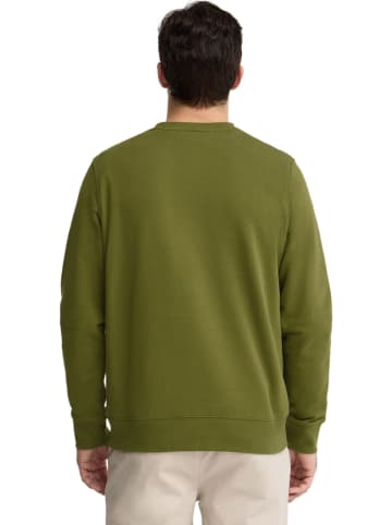 Polo Club Sweatshirt kaki