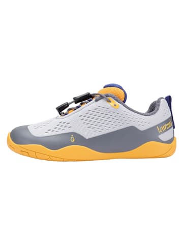 lamino Barfußschuhe in Grau