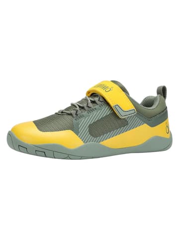 lamino Barfußschuhe in Khaki