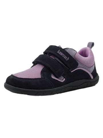 lamino Leder-Barfußschuhe in Dunkelblau/ Rosa