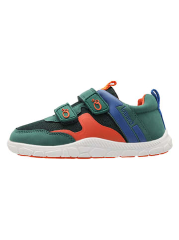 lamino Buty barefoot w kolorze zielonym