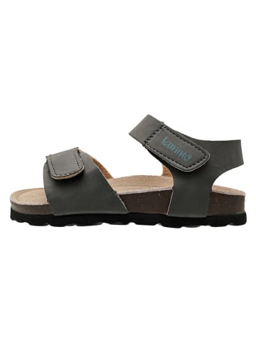 lamino Sandalen in Anthrazit