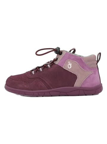 lamino Skórzane buty barefoot w kolorze fioletowym