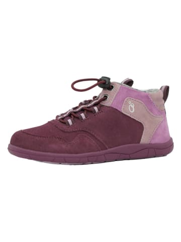 lamino Skórzane buty barefoot w kolorze fioletowym