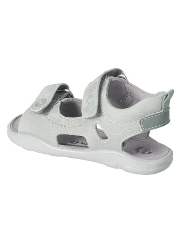 Ricosta Buty barefoot "York" w kolorze szarym