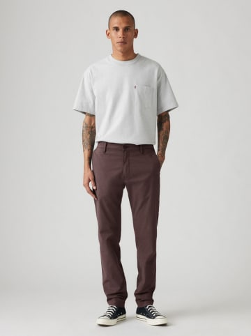 Levis Chino - Standard Taper fit - in Braun