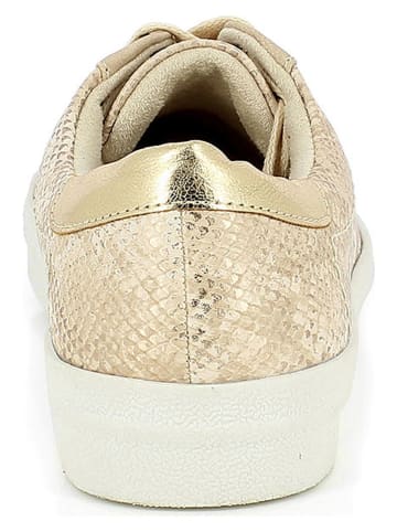 Kimberfeel Sneakers "Gavernie" in Gold