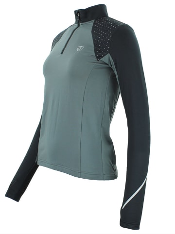 Peak Mountain Funktionsshirt "Aflint" in Grau