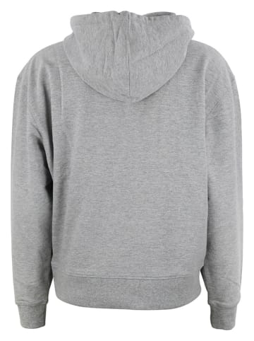 Peak Mountain Hoodie "Alauren" in Grau