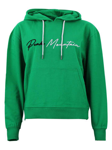 Peak Mountain Hoodie "Alauren" in Grün