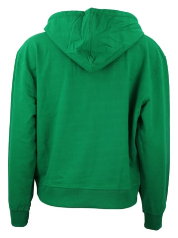 Peak Mountain Hoodie "Alauren" in Grün