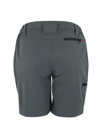 Peak Mountain Funktionsshorts "Assor" in Grau