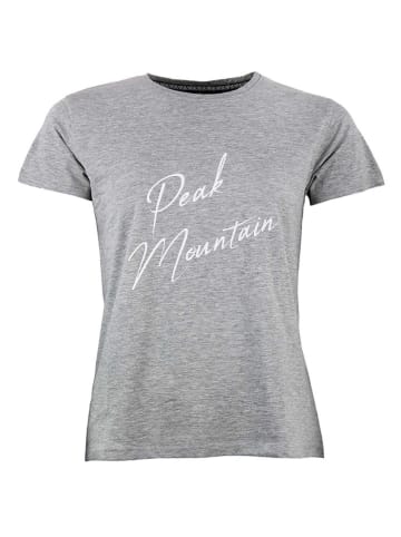 Peak Mountain Shirt in Grau