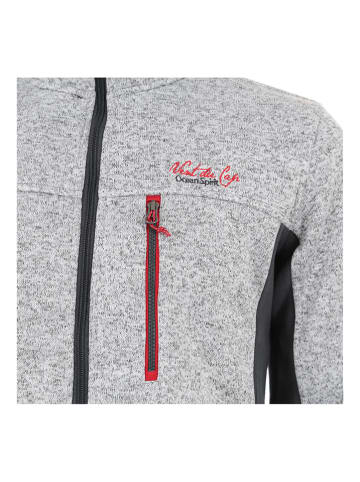 Peak Mountain Fleecejacke "Calaska" in Grau