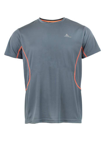 Peak Mountain Funktionsshirt in Grau