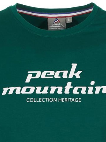 Peak Mountain Shirt in Grün