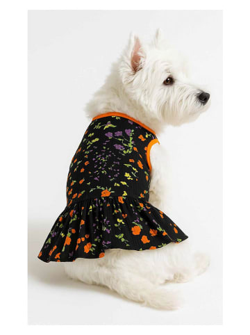 Paws&Whiskers Hundekleid in Schwarz/ Bunt