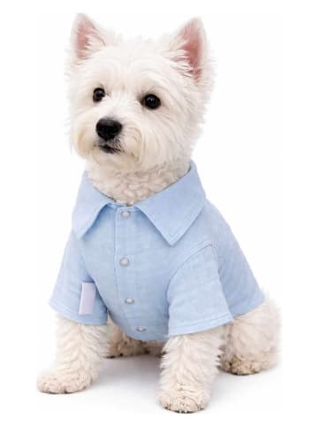 Paws&Whiskers Hundeshirt in Hellblau