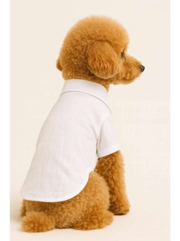 Paws&Whiskers Hondenshirt wit