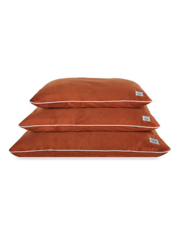 Paws&Whiskers Tierbett ''Puppy Dog'' in Orange