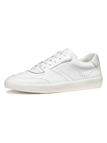 Geox Leren sneakers "Affile" wit