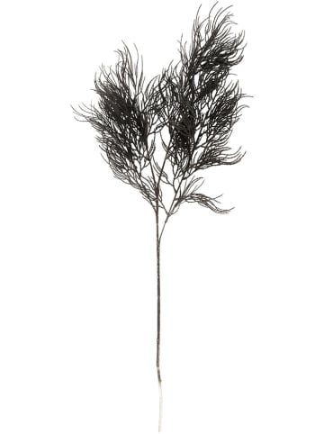 Present Time Sztuczna roślina "Asparagus" w kolorze czarnym - 25,4 x 86,4 cm